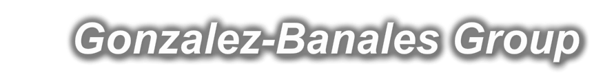GONZALEZ-BANALES GROUP